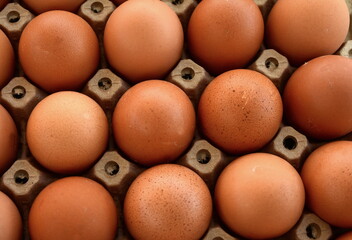 Full fresh eggs of paper tray from hen farm in the package that preserved for sale in wholesale and retail market.