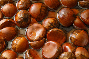 Fresh Dandong chestnuts soaked in water