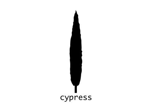 Cypress icon. Simple illustration of cypress vector icon for web. Italian silhouette cypress trees the typical Tuscan landscape. Ecology Organic Farm Logo design  Vector isolated or white background 
