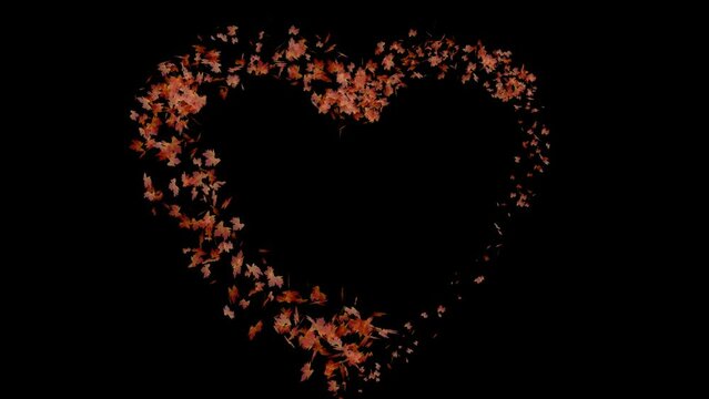 heart of maple leaves animation with transparent  background  