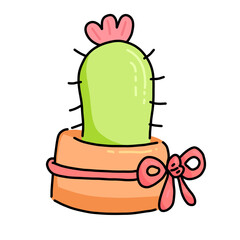 cactus in a pot