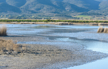 views of the inside of the Diaccia Botrona Natural Reserve, Castiglione della Pescaia, Grosseto, Tuscay, Italy