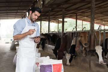 agriculture industry, dairy farming, livestock and animal husbandry concept. Dairy farmer male at cowshed on dairy farm. Male livestock veterinarian checking or health