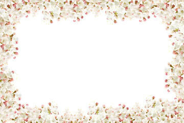 frame of flowers of white viburnum in spring