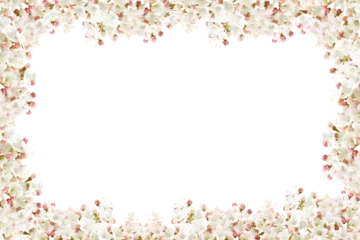 Fotobehang frame of flowers of white viburnum in spring © alefree