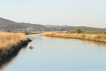 views of the inside of the Diaccia Botrona Natural Reserve, Castiglione della Pescaia, Grosseto, Tuscay, Italy
