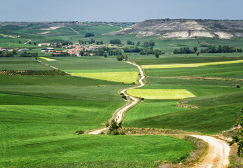Pilgrims walking along the road to Santiago, way of saint james, Spain