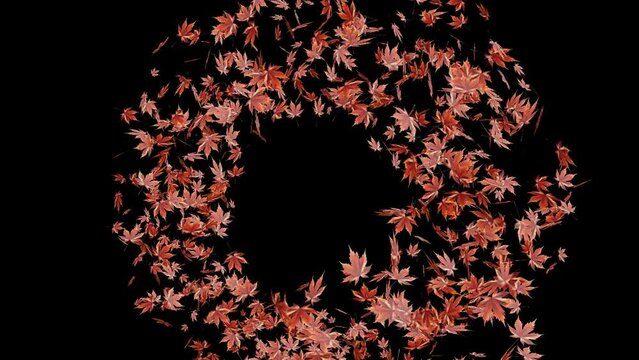 falling leaves particle overlay transition animation with transparent background