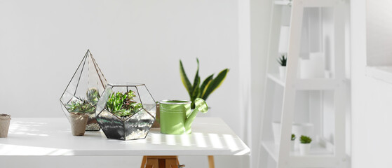 Florariums with watering can and pots on table in room