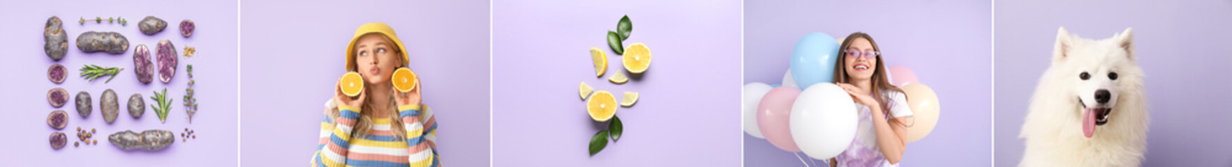 Collage of young women with cute dog, balloons, potatoes and citrus fruits on lilac background