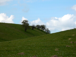 Windows XP style landscape (Fresendorf, Germany)