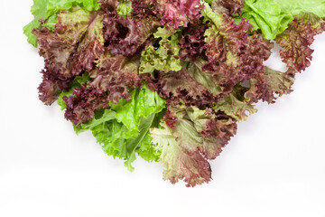 Beautifully arranged lettuce leaves on a white background....
