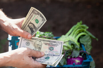 Buyer of vegetables counts cash over goods....