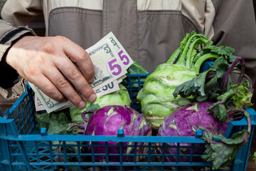 Farmer sold  case of cabbage for cash dollars....