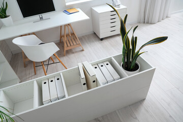 Shelf unit with folders and plant in light office