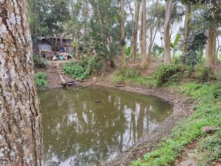 Rural Place in the village 