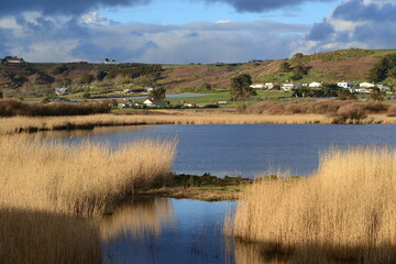 St.Ouen pond, Jersey, U.K. Wetland marsh in Spring.