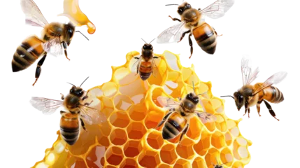Fotobehang six bees and honeycomb on transparent background cutout.png  © AlimMahmud