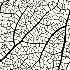 Obraz premium Vector seamless pattern. Floral stylish background. Monochrome silhouette of leaf structure.