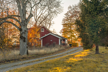Abandoned red barn on a farm in the fall with trees in the background