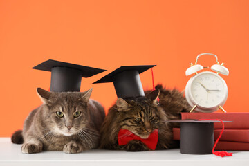 Cute cats with graduation hats, clock and books on table against orange background. End of school...