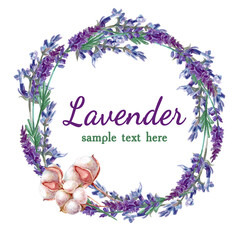 lavender 2