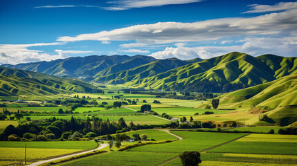 Fototapeta na wymiar Rolling hills with vineyards in Marlborough
