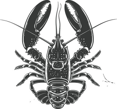 black and white lobster drawing clip art preview