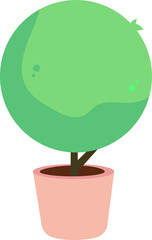 potted plant