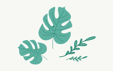 set of Monstera leaf collection vector design