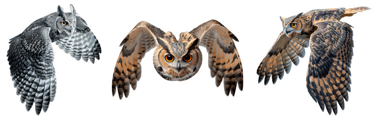 Set of owl isolated on the transparent background. An owl in flight flaps its large wings.