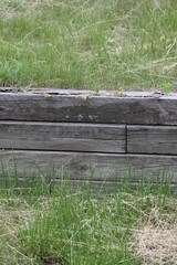 wooden fence on the grass