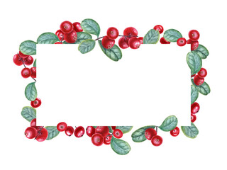 Cowberry branch. red forest berries. Horizontal frame with copy space for text. Bearberry, cranberries, lingonberry. Watercolor illustration isolated on white background. For postcard, package.