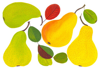 Pear fruit and leaves. Watercolor background illustrations for greeting cards, fabric, kitchen textiles, wallpaper or wrapping paper - 749585532