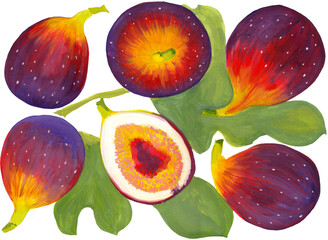 Fig fruits and leaves. Watercolor background illustrations for greeting cards, fabric, kitchen textiles, wallpaper or wrapping paper. Use printed materials, signs, items, websites, - 749585535