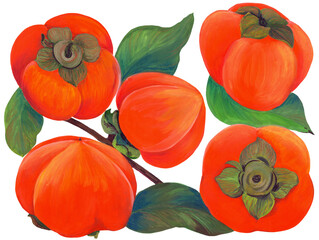 Persimmon fruits and leaves. Illustrations for greeting cards, fabric, kitchen textiles, wallpaper or wrapping paper. Use printed materials, signs, objects, websites, - 749585545