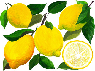 Lemon fruits and leaves. Illustrations for greeting cards, fabric, kitchen textiles, wallpaper or wrapping paper. Use printed materials, signs, objects, websites, - 749585547