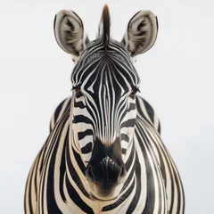 Poster Im Rahmen zebra isolated on white background © kristina