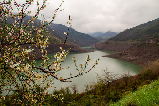 spring landscape