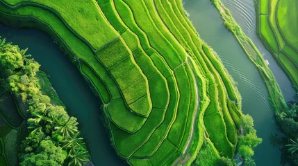 Selbstklebende Fototapeten drone images of a stunning paddy field with terraces in water season. © pvl0707