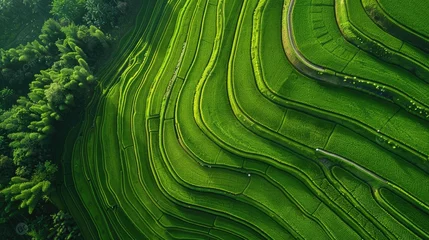 Foto op Canvas drone images of a stunning paddy field with terraces in water season. © pvl0707