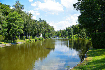 Fototapeta na wymiar pond scenery with water lilly
