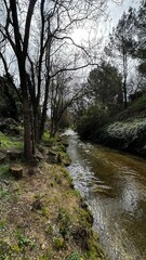 Nature playa agua cielo rio