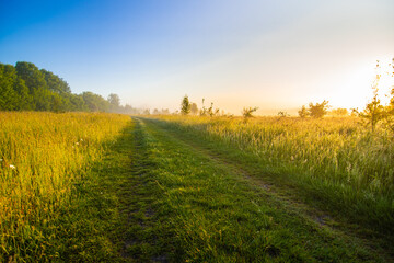 Dirt road through the field with grass. Summer landscape at dawn with fog