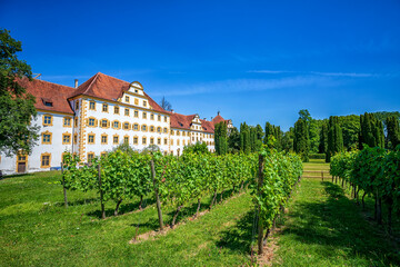 Castle and vineyard of Meersburg in Germany