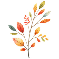 Fall leaf watercolor clipart with transparent background