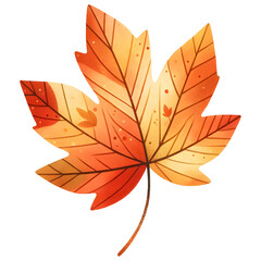 Fall leaf watercolor clipart with transparent background
