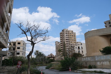 Ghost town with perishing buildings and tree in the middle