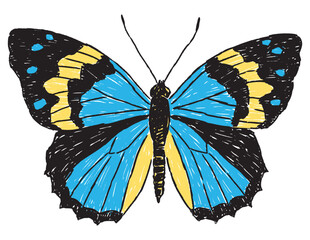 Hand drawing of single blue and yellow bright butterfly, vector illustration isolated on white