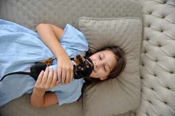 menina criança feliz a vontade em casa com cachorro de estimação filhote fofo de Dachshund 